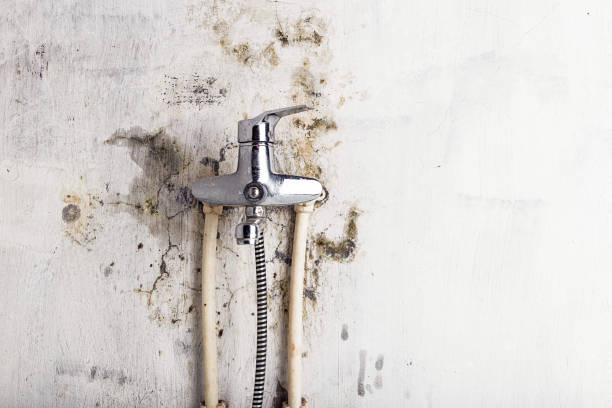 Best Post-Remediation Services in Arthurdale, WV