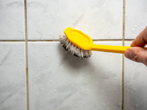 Best Black Mold Remediation in Arthurdale, WV